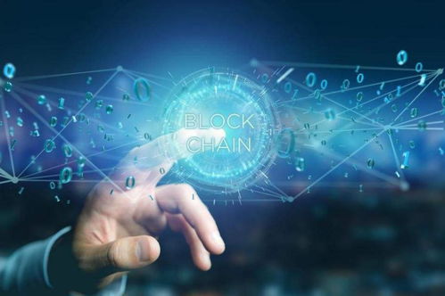 掌上仁信 以数字技术服务，为数字金融添砖加瓦