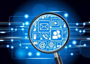 区块链泡沫中掘金 巨头加码与连续创业者入场的数字技术新服务